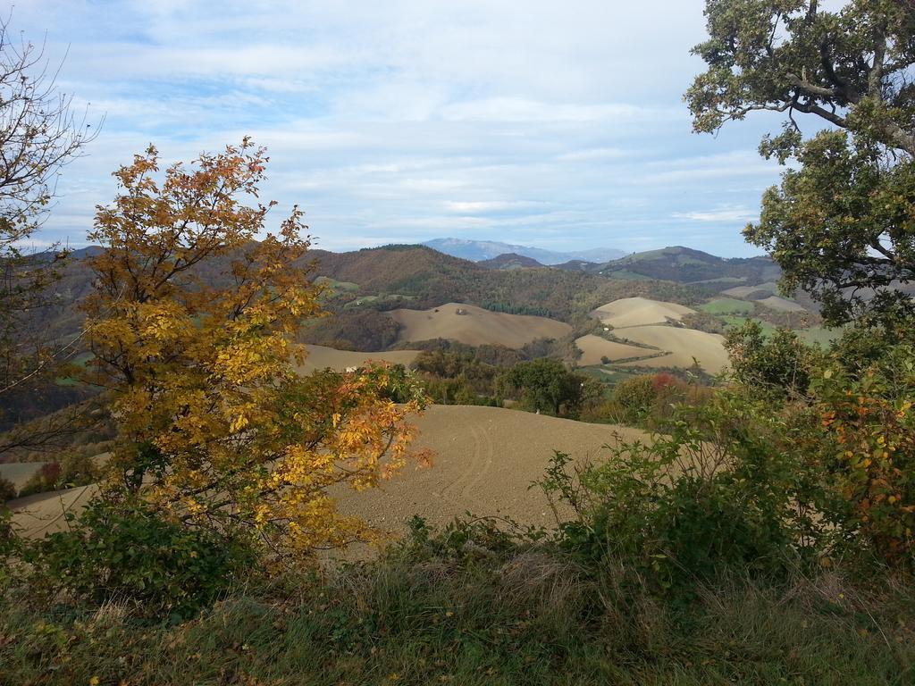 Girfalco Country House Bed & Breakfast Urbino Eksteriør bilde