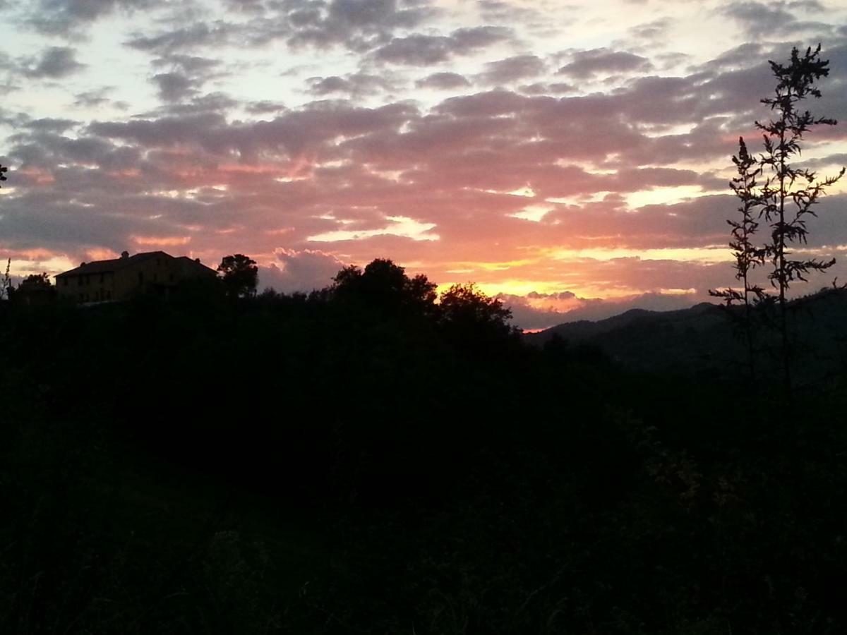 Girfalco Country House Bed & Breakfast Urbino Eksteriør bilde